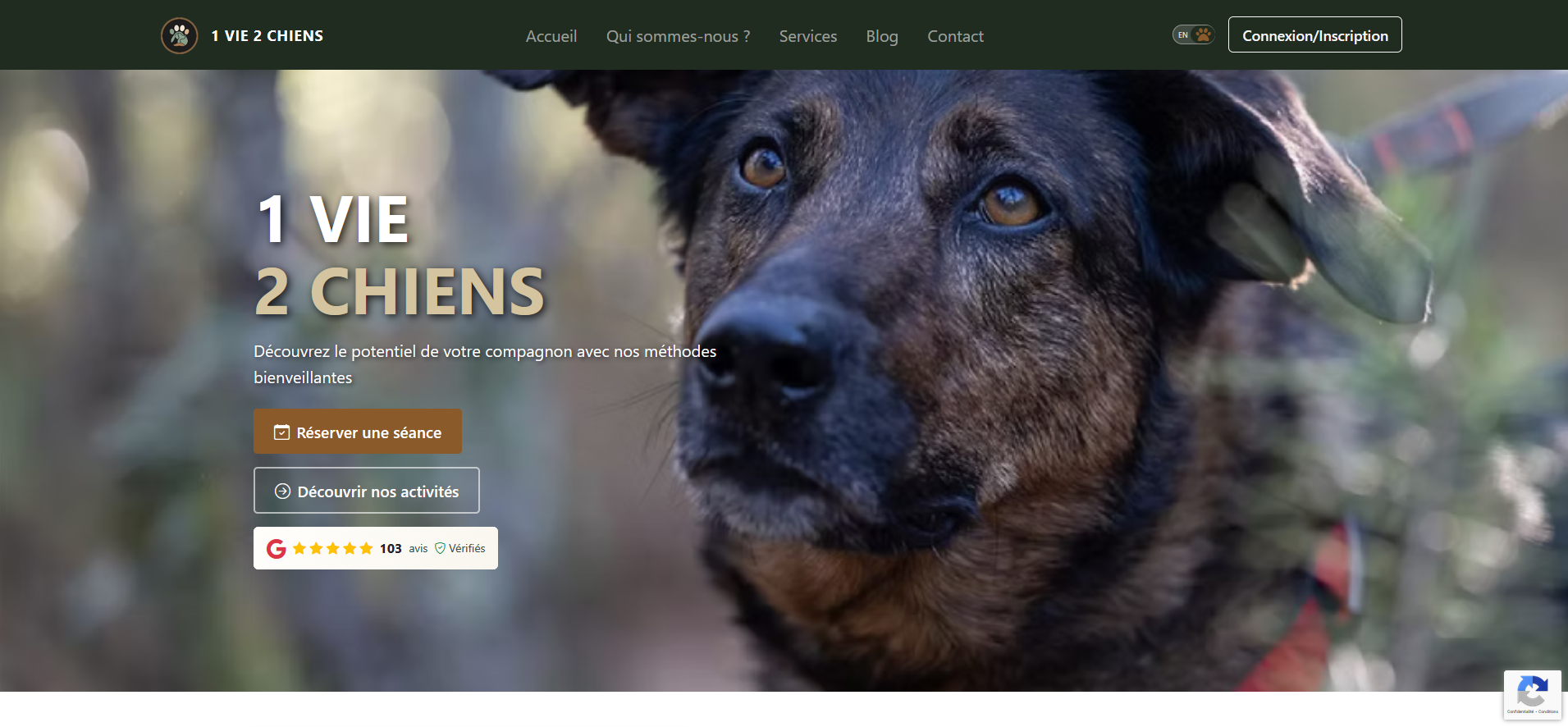 Site Ecommerce 1vie2chiens