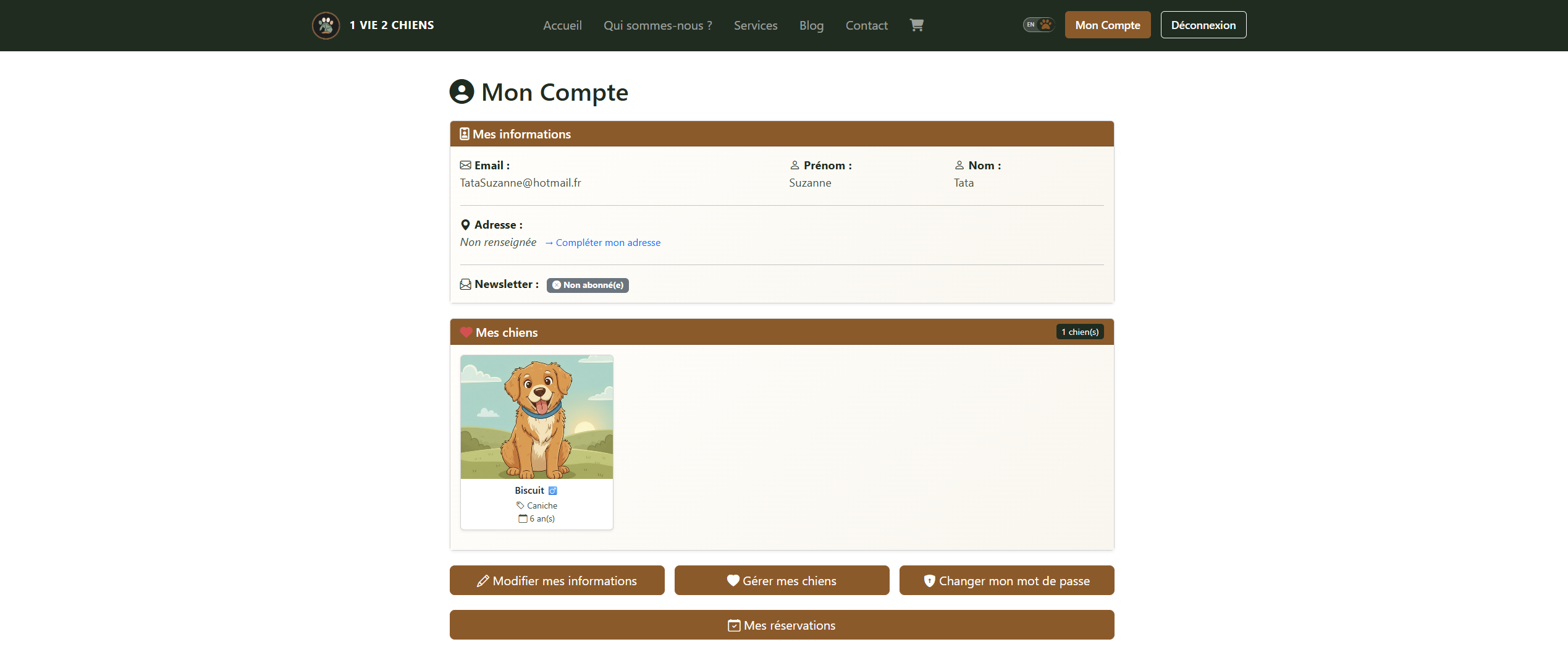 Site Ecommerce 1vie2chiens - Image 4